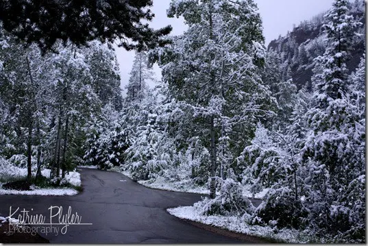 kamassnow2