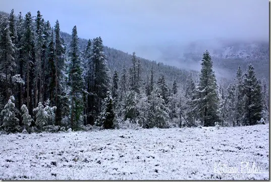 kamassnow3
