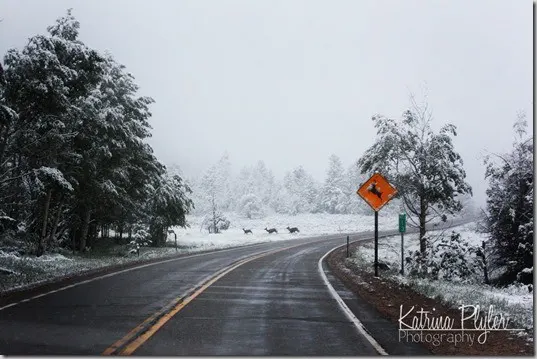 kamassnow8