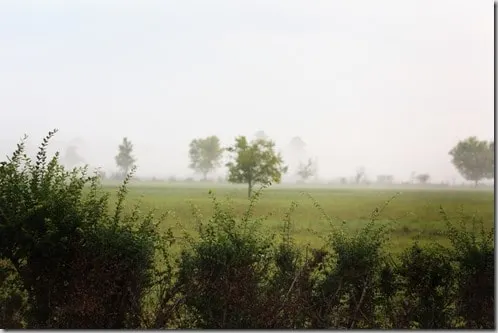 fall field