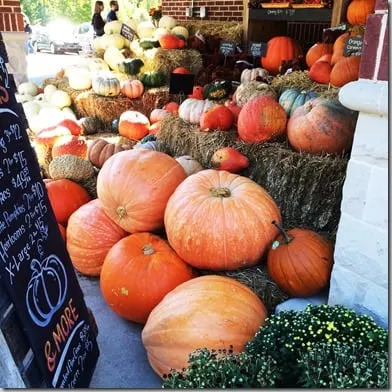 pumpkins