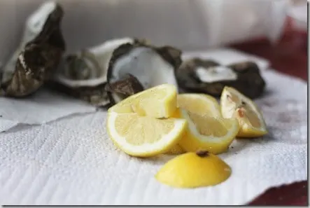 oyster festival 6