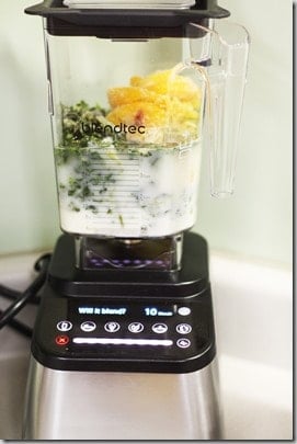 blendtec