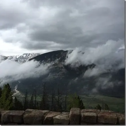 rmnp1