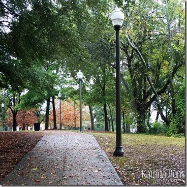november riverwalk 3