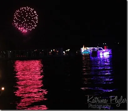 fireworks1wm