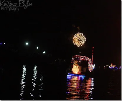 fireworks7wm
