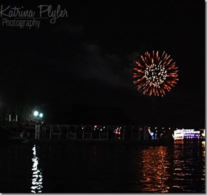 fireworks8wm