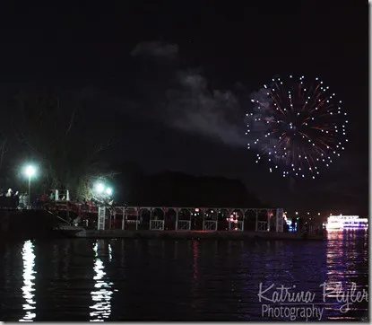 fireworks9wm
