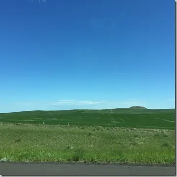 2016-06-05 09.22.58