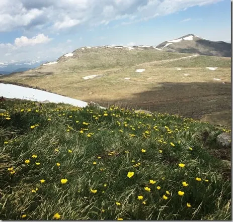 Mt. Evans descent 3
