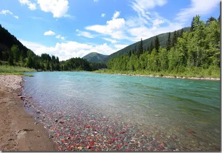 flathead river 4 ~