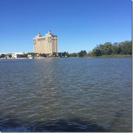 savannah 10