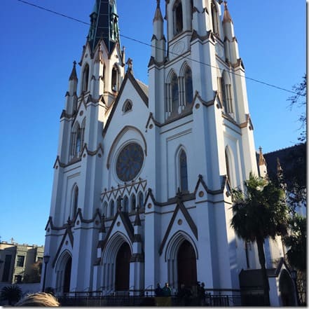 savannah 3