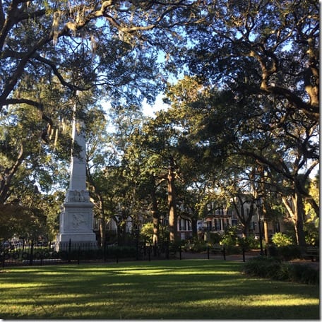 savannah 4