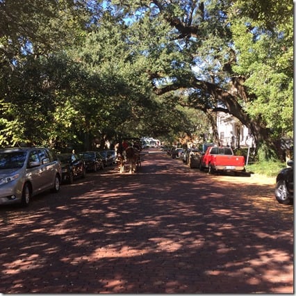 savannah 5