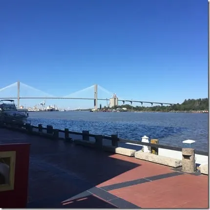 savannah 8