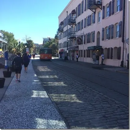 savannah 9