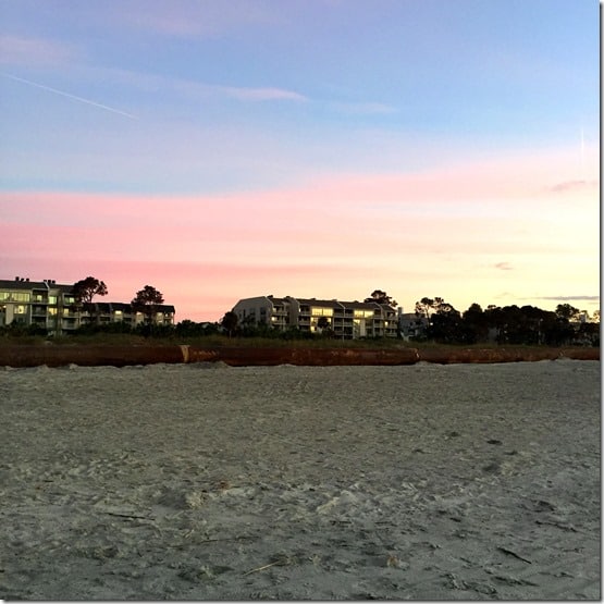 savannah sunrise 3