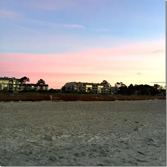 savannah sunrise 3