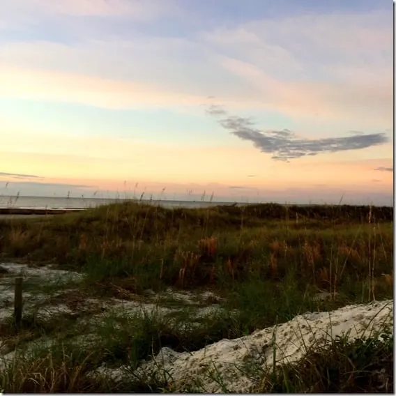 savannah sunrise2