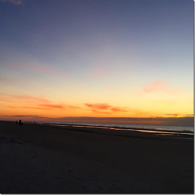 savannah sunrise