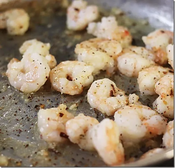 shrimp