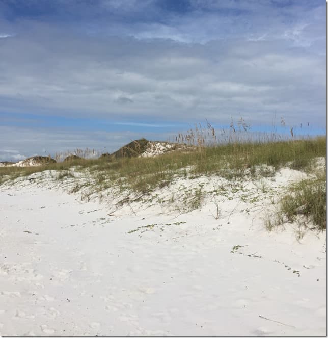 dunes