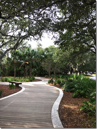 hilton head 9