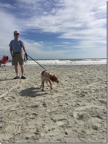 hilton head1
