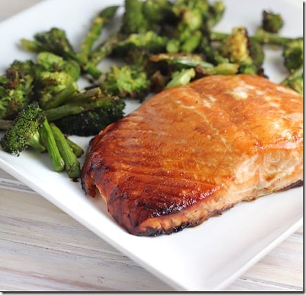 salmon