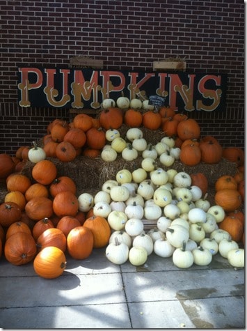 whole foods pumpkins